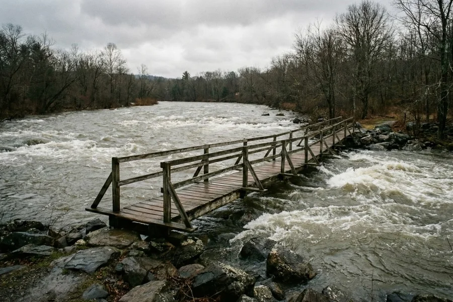 Signs You Have Outgrown Your Software and it is time for you to get custom software tailored to your operational workflow