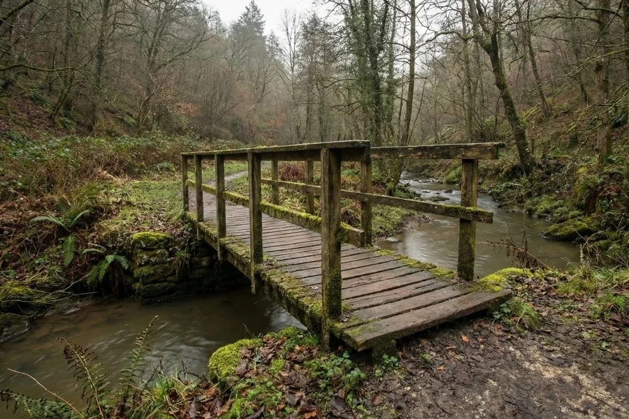 When Off-the-Shelf Software Makes Sense